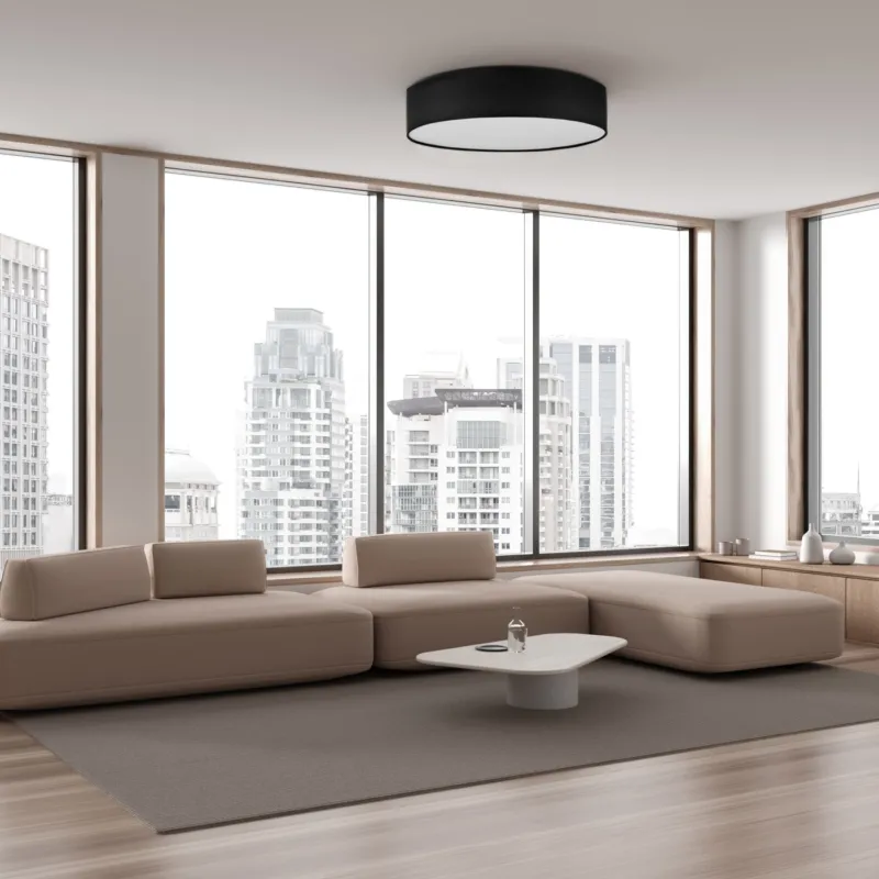Ekspresowa dostawa RONDO black ⌀60 1587 TK Lighting