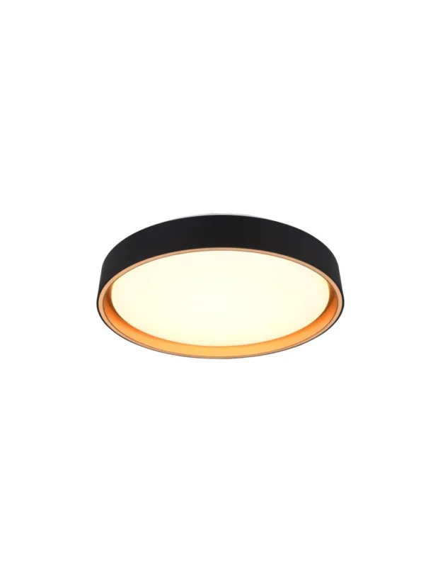Tylko do końca tygodnia RL Sufitowa FELIS R64391080