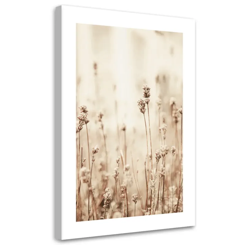 Tani Obraz na płótnie, Delikatne kwiatki polne cm 40x60 cm -