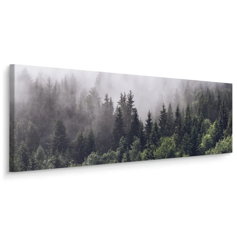 Obraz Panoramiczny Mglisty Las 145x45cm - Taniej