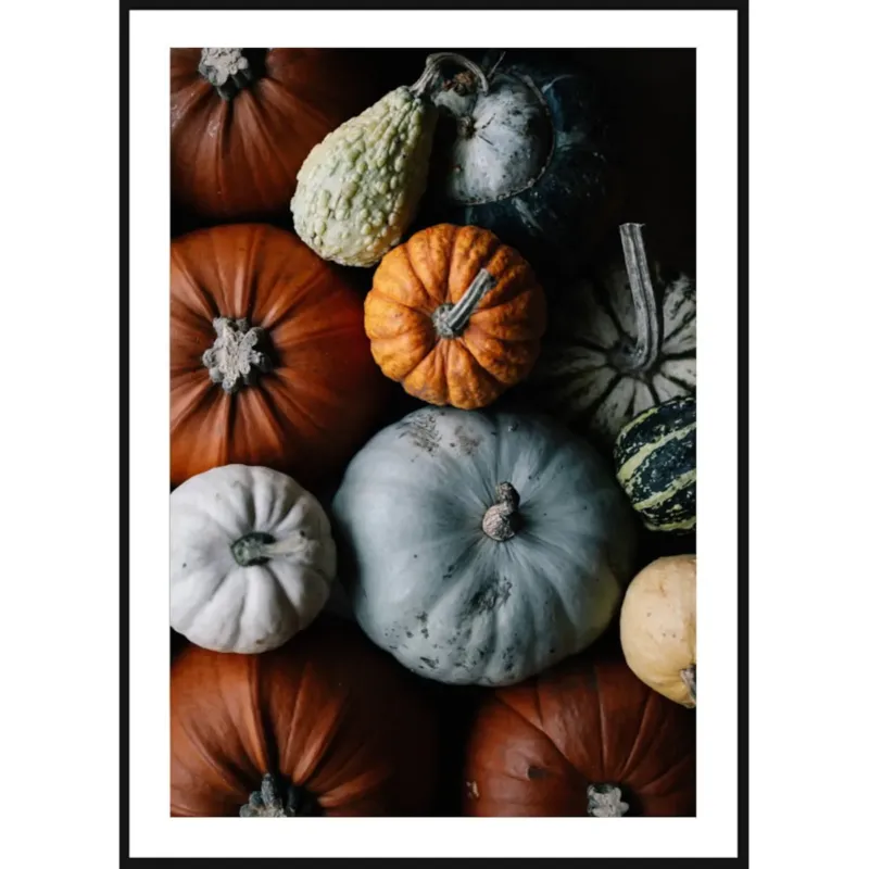 Poster Story, Plakat, Obraz - Kolorowe Dynie, wymiary 50 x 70 cm - Zniżka