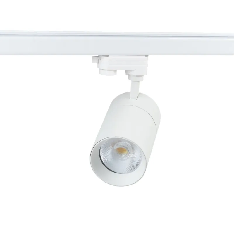 Blaupunkt Reflektor LED 3-fazowy Vision BLAUPUNKT-RS3W-30CCT 30W biały z przełącznikiem barwy światła Ograniczona ilość