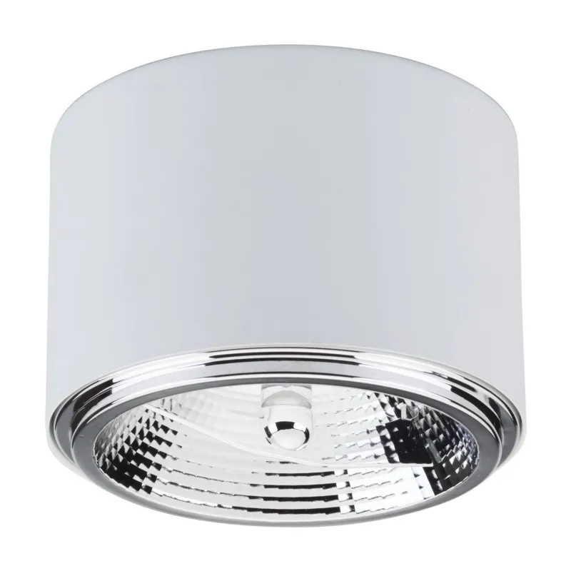 Wysoka jakość Reflektor Moris White 1x GU10 - TK Lighting