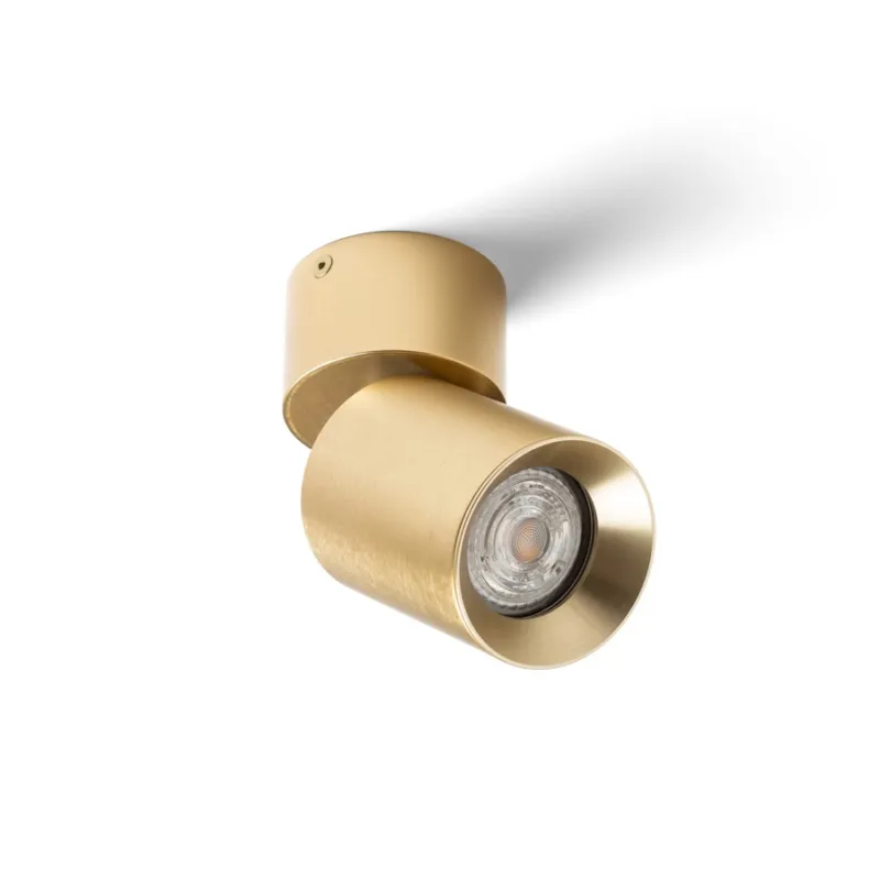 Reflektor sufitowy DARIO R13869 - Rendl Bezpieczna płatność