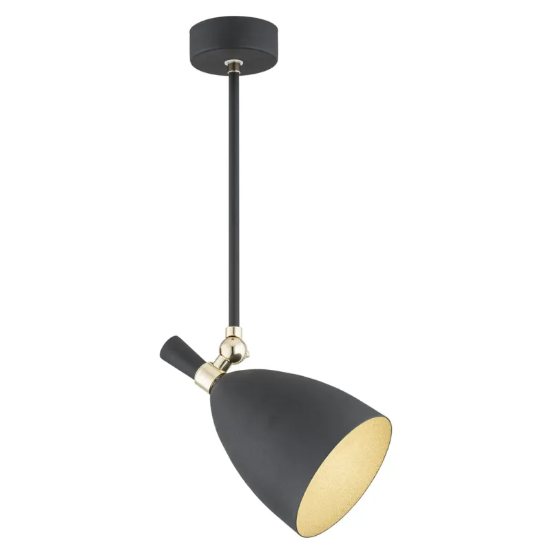 Bezpieczna płatność Lampa loft wisząca CHARLOTTE 4686 - Argon