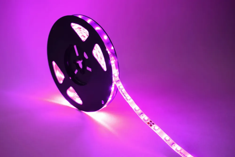 Promocja Taśma LED 300 SMD 2835 12V 4,8W Fioletowy 8mm IP65 1m 05TS12GZ03035FI0XX - Gerled