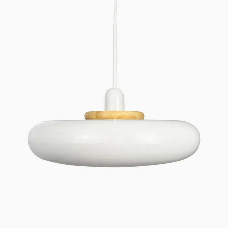 Pojedyncza lampa wisząca Planet z metalowym kloszem Premium