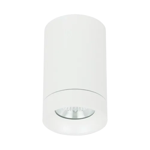 Bezpieczne zakupy Biała okrągła wodoodporna oprawa sufitowa punktowa Loonari (Oxyled) Basaro RO IP 704721 8,9W 946lm CRI90 4000K 36stopni IP65
