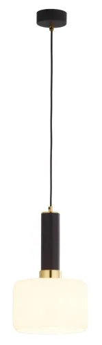 Hit cenowy Czarna lampa wisząca z mosiężnym dodatkiem i białym szklanym kloszem Jupiter 1852 Vanes Ms E27 20cm